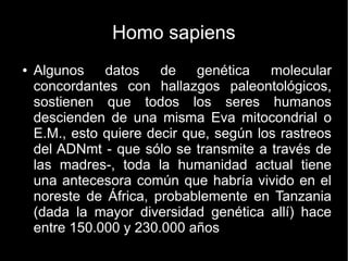 Homo sapiens 
● Algunos datos de genética molecular 
concordantes con hallazgos paleontológicos, 
sostienen que todos los seres humanos 
descienden de una misma Eva mitocondrial o 
E.M., esto quiere decir que, según los rastreos 
del ADNmt - que sólo se transmite a través de 
las madres-, toda la humanidad actual tiene 
una antecesora común que habría vivido en el 
noreste de África, probablemente en Tanzania 
(dada la mayor diversidad genética allí) hace 
entre 150.000 y 230.000 años 
 