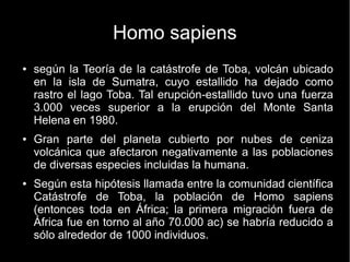 Homo sapiens 
● según la Teoría de la catástrofe de Toba, volcán ubicado 
en la isla de Sumatra, cuyo estallido ha dejado como 
rastro el lago Toba. Tal erupción-estallido tuvo una fuerza 
3.000 veces superior a la erupción del Monte Santa 
Helena en 1980. 
● Gran parte del planeta cubierto por nubes de ceniza 
volcánica que afectaron negativamente a las poblaciones 
de diversas especies incluidas la humana. 
● Según esta hipótesis llamada entre la comunidad científica 
Catástrofe de Toba, la población de Homo sapiens 
(entonces toda en África; la primera migración fuera de 
África fue en torno al año 70.000 ac) se habría reducido a 
sólo alrededor de 1000 individuos. 
 