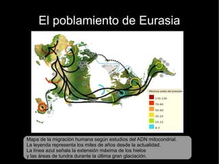 El poblamiento de Eurasia 
Mapa de la migración humana según estudios del ADN mitocondrial. 
La leyenda representa los miles de años desde la actualidad. 
La línea azul señala la extensión máxima de los hielos 
y las áreas de tundra durante la última gran glaciación. 
 