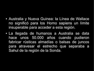 ● Australia y Nueva Guinea: la Línea de Wallace 
no significó para los Homo sapiens un límite 
insuperable para acceder a esta región. 
● La llegada de humanos a Australia se data 
hace unos 50.000 años cuando pudieron 
fabricar rústicas almadías o balsas de juncos 
para atravesar el estrecho que separaba a 
Sahul de la región de la Sonda. 
 