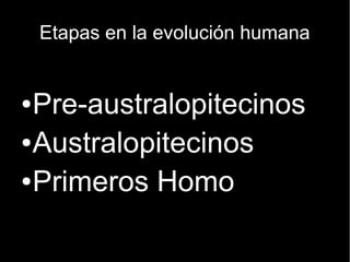 Etapas en la evolución humana 
●Pre-australopitecinos 
●Australopitecinos 
●Primeros Homo 
 