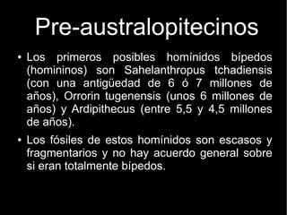 Pre-australopitecinos 
● Los primeros posibles homínidos bípedos 
(homininos) son Sahelanthropus tchadiensis 
(con una antigüedad de 6 ó 7 millones de 
años), Orrorin tugenensis (unos 6 millones de 
años) y Ardipithecus (entre 5,5 y 4,5 millones 
de años). 
● Los fósiles de estos homínidos son escasos y 
fragmentarios y no hay acuerdo general sobre 
si eran totalmente bípedos. 
 