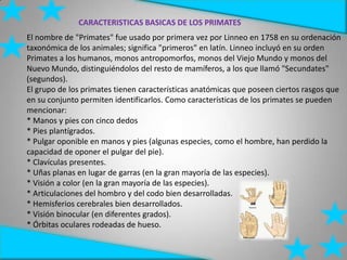 CARACTERISTICAS BASICAS DE LOS PRIMATES
El nombre de "Primates" fue usado por primera vez por Linneo en 1758 en su ordenación
taxonómica de los animales; significa "primeros" en latín. Linneo incluyó en su orden
Primates a los humanos, monos antropomorfos, monos del Viejo Mundo y monos del
Nuevo Mundo, distinguiéndolos del resto de mamíferos, a los que llamó "Secundates"
(segundos).
El grupo de los primates tienen características anatómicas que poseen ciertos rasgos que
en su conjunto permiten identificarlos. Como características de los primates se pueden
mencionar:
* Manos y pies con cinco dedos
* Pies plantígrados.
* Pulgar oponible en manos y pies (algunas especies, como el hombre, han perdido la
capacidad de oponer el pulgar del pie).
* Clavículas presentes.
* Uñas planas en lugar de garras (en la gran mayoría de las especies).
* Visión a color (en la gran mayoría de las especies).
* Articulaciones del hombro y del codo bien desarrolladas.
* Hemisferios cerebrales bien desarrollados.
* Visión binocular (en diferentes grados).
* Órbitas oculares rodeadas de hueso.
 
