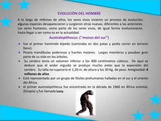 EVOLUCIÒN DEL HOMBRE
A lo largo de millones de años, los seres vivos vivieron un proceso de evolución;
algunas especies desaparecieron y surgieron otras nuevas, diferentes a las anteriores.
Los seres humanos, como parte de los seres vivos, de igual forma evolucionaron,
hasta llegar a ser como es en la actualidad.
Australopithecus: ("monos del sur")
● fue el primer homínido bípedo (caminaba en dos patas y podía correr en terreno
llano).
● Poseía mandíbulas poderosas y fuertes molares. Largos miembros y pasaban gran
parte de su vida en los árboles.
● Su cerebro tenía un volumen inferior a los 400 centímetros cúbicos. De aquí se
deduce que el andar erguido se produjo mucho antes que la expansión del
cerebro. Su talla no superaría el 1,20 m. de altura y los 30 Kg. de peso. Antigüedad: 4
millones de años
● Está representado por un grupo de fósiles prehumanos hallados en el sur y el oriente
del África.
● el primer australopithecus fue encontrado en la década de 1960 en África oriental,
(Etiopía) y fue llamada Lucy.
 