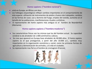 Homo sapiens: ("hombre racional")
● vivió en Europa, en África y en Asia.
● Los hallazgos arqueológicos reflejan cambios importantes en el comportamiento de
esta especie: utilización de instrumentos de piedra y hueso más trabajados, cambios
en las formas de cazar, uso y dominio del fuego, empleo del vestido, aumento en el
tamaño de las poblaciones, manifestaciones rituales y artísticas.
● El representante del homo sapiens más antiguo es el hombre de Neanderthal
(Alemania).
Homo sapiens sapiens: ("hombre moderno")
● Sus características físicas son las mismas que las del hombre actual. Su capacidad
cerebral es de alrededor de 1.400 centímetros cúbicos.
● Se cree que apareció en Europa hace alrededor de 40.000 años. El homo sapiens
sapiens es el que protagonizó, a partir del año 10.000 a.C., cambios muy
importantes en la organización económica y social, como las primeras formas de
agricultura y domesticación de animales, y la vida en ciudades.
● Su representante mas fiel es el hombre de cromagnon (Francia)
 