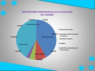 PROPORCIONES CRONOLOGICAS DE LA EVOLUCION
DEL HOMBRE
Homo erectus india
paleolitico medio el hombre
en america
paleolitico superior
neolitico
paleolitico nominado por el
homo erectus
750.000
500.000
250.000
30.000
1.750.000
1.500.000
1.250.00
1.000.000
Homo erectus india
Homo sapiens
Homo erectus Israel
Homo erectus
 