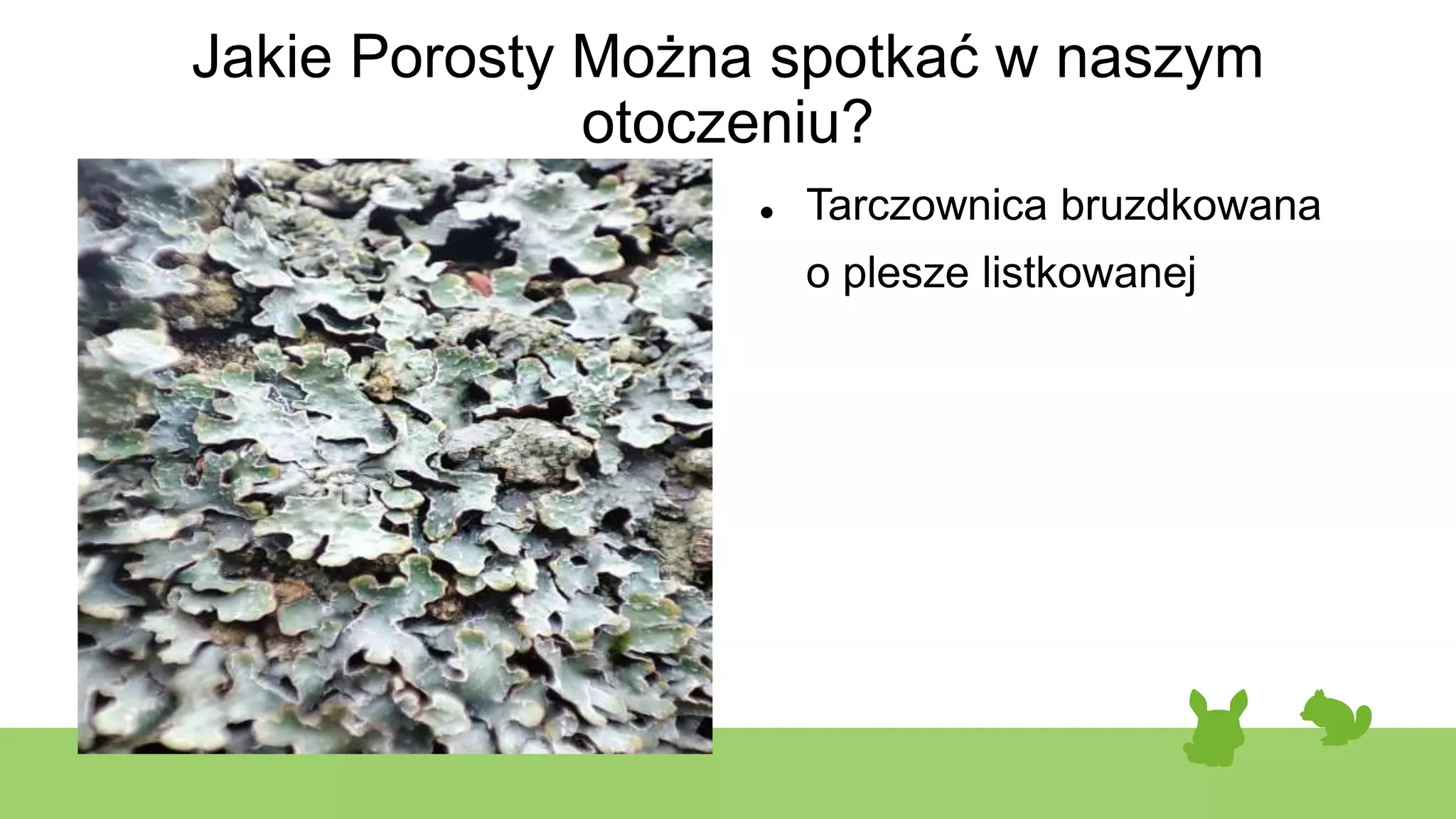 Antropogeneza porosty.pptx