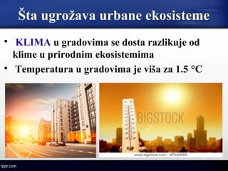 Šta ugrožava urbane ekosisteme

KLIMA u gradovima se dosta razlikuje od
klime u prirodnim ekosistemima

Temperatura u gradovima je viša za 1.5 °C
 