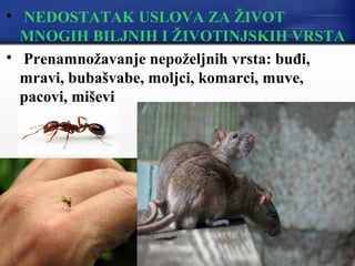 
NEDOSTATAK USLOVA ZA ŽIVOT
MNOGIH BILJNIH I ŽIVOTINJSKIH VRSTA

Prenamnožavanje nepoželjnih vrsta: buđi,
mravi, bubašvabe, moljci, komarci, muve,
pacovi, miševi
 