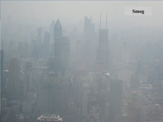 Smog
 