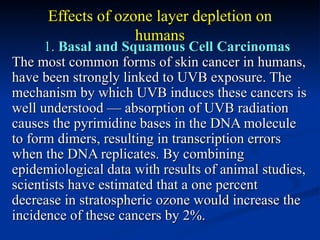 Effects of ozone layer depletion on
                    humans
      1. Basal and Squamous Cell Carcinomas
The most common forms of skin cancer in humans,
have been strongly linked to UVB exposure. The
mechanism by which UVB induces these cancers is
well understood — absorption of UVB radiation
causes the pyrimidine bases in the DNA molecule
to form dimers, resulting in transcription errors
when the DNA replicates. By combining
epidemiological data with results of animal studies,
scientists have estimated that a one percent
decrease in stratospheric ozone would increase the
incidence of these cancers by 2%.
 