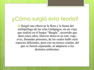 ¿Cómo surgió esta teoría?
 Surgió tras observar la flora y la fauna del
archipiélago de las islas Galápagos, en un viaje
que realizó en el buque “Beagle”, recorrido que
duró cinco años, Darwin observó en este viaje,
aves, llamadas pinzones, de las cuales halló siete
especies diferentes, pero con un tronco común, del
que se fueron separando, al adaptarse a los
distintos ambientes.
 
