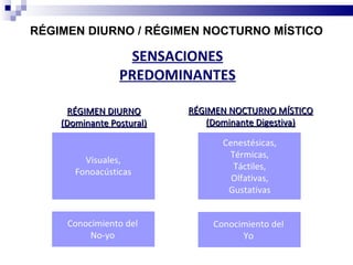RÉGIMEN DIURNO / RÉGIMEN NOCTURNO MÍSTICO

                  SENSACIONES
                 PREDOMINANTES

     RÉGIMEN DIURNO        RÉGIMEN NOCTURNO MÍSTICO
    (Dominante Postural)       (Dominante Digestiva)

                                  Cenestésicas,
                                   Térmicas,
         Visuales,
                                    Táctiles,
       Fonoacústicas
                                    Olfativas,
                                   Gustativas


     Conocimiento del           Conocimiento del
          No-yo                       Yo
 