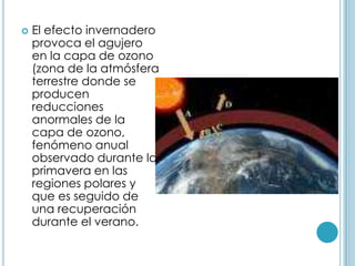 El efecto invernadero provoca el agujero en la capa de ozono (zona de la atmósfera terrestre donde se producen reducciones anormales de la capa de ozono, fenómeno anual observado durante la primavera en las regiones polares y que es seguido de una recuperación durante el verano.