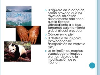 El agujero en la capa de ozono provoca que los rayos del sol entren directamente haciendo que la tierra se sobrecaliente a lo que llamamos calentamiento global el cual provoca:Cáncer en la piel El deshielo de los polos (provocando la desaparición de costas e islas)La extinción de muchas especies de animales y plantas (debido a la modificación de su hábitat)