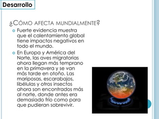 Desarrollo¿Cómo afecta mundialmente?Fuerte evidencia muestra que el calentamiento global tiene impactos negativos en todo el mundo.En Europa y América del Norte, las aves migratorias ahora llegan más temprano en la primavera y se van más tarde en otoño. Las mariposas, escarabajos, libélulas y otros insectos ahora son encontrados más al norte, donde antes era demasiado frío como para que pudieran sobrevivir. 