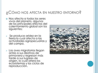 ¿Cómo nos afecta en nuestro entorno?Nos afecta a todos los seres vivos del planeta, algunos de los principales efectos del calentamiento global son los siguientes: Se produce aridez en la tierra lo cual afecta a las actividades agropecuarias y del campo.