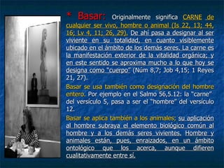 AntropologíA Biblica | PPT