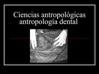 Ciencias antropológicas antropología dental  