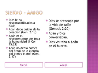 Siervo Amigo Dios le da responsabilidades a Adán Adán debe cuidar de la creación (Gen. 2.15) Adán es el representante por toda la humanidad (1 Cor 15:21) Adán no debía comer del árbol de la ciencia del bien y el mal (Gen. 2.17) Dios se preocupa por la vida de Adán (Génesis 2:20) Adán y Dios conversaban. Dios visitaba a Adán en el huerto. 