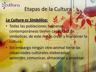 Etapas de la Cultura
La Cultura es Simbólica:
• Todas las poblaciones humanas
  contemporáneas tienen capacidad de
  simbolizar, de este modo crear y mantener la
  cultura.
• Sin embargo ningún otro animal tiene las
  capacidades culturales elaboradas:
  aprender, comunicar, almacenar y procesar.
 