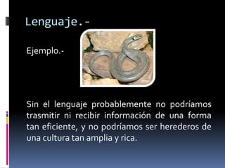 Lenguaje.-
Ejemplo.-
Sin el lenguaje probablemente no podríamos
trasmitir ni recibir información de una forma
tan eficiente, y no podríamos ser herederos de
una cultura tan amplia y rica.
 