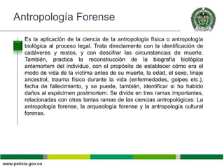 Antropología Forense                                                Título

  Es la aplicación de la ciencia de la antropología física o antropología
  biológica al proceso legal. Trata directamente con la identificación de
  cadáveres y restos, y con descifrar las circunstancias de muerte.
  También, practica la reconstrucción de la biografía biológica
  antemortem del individuo, con el propósito de establecer cómo era el
  modo de vida de la víctima antes de su muerte, la edad, el sexo, linaje
  ancestral, trauma físico durante la vida (enfermedades, golpes etc.),
  fecha de fallecimiento, y se puede, también, identificar si ha habido
  daños al espécimen postmortem. Se divide en tres ramas importantes,
  relacionadas con otras tantas ramas de las ciencias antropológicas: La
  antropología forense, la arqueología forense y la antropología cultural
  forense.
 