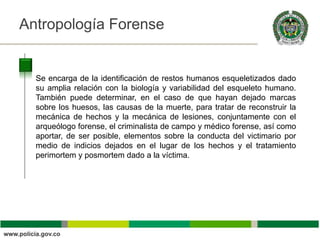 Antropología Forense                                                Título



  Se encarga de la identificación de restos humanos esqueletizados dado
  su amplia relación con la biología y variabilidad del esqueleto humano.
  También puede determinar, en el caso de que hayan dejado marcas
  sobre los huesos, las causas de la muerte, para tratar de reconstruir la
  mecánica de hechos y la mecánica de lesiones, conjuntamente con el
  arqueólogo forense, el criminalista de campo y médico forense, así como
  aportar, de ser posible, elementos sobre la conducta del victimario por
  medio de indicios dejados en el lugar de los hechos y el tratamiento
  perimortem y posmortem dado a la víctima.
 