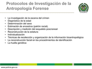Protocolos de Investigación de la
    Antropología Forense

•   La investigación de la escena del crimen
•   Diagnóstico de la edad
•   Determinación del sexo
•   Estimación de ancestros (patrón racial).
•   Descripción y medición del esqueleto poscraneal
•   Reconstrucción de la estatura
•   Individualización
•   Técnicas de recolección y organización de la información bioantropológica
•   La reconstrucción facial en los procedimientos de identificación
•   La huella genética
 