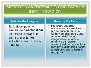 MÉTODOS ANTROPOLÓGICOS PARA LA
IDENTIFICACIÓN
Método Morfológico
• Es la descripción y
análisis de características
de tipo cualitativa que
van a presentar los
individuos, sean vivos o
muertos.
Descripción Física
• Son todos aquellos
indicadores morfológicos
que se encuentran en el
rostro y en el cuerpo y que
permiten establecer
categorías en cuanto su
forma y a su relación
proporcional con respecto a
la esfera o dimensión donde
su ubiquen, sea la facial o
la corporal.
 