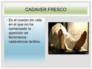CADAVER FRESCO
• Es el cuerpo sin vida
en el que no ha
comenzado la
aparición de
fenómenos
cadavéricos tardíos.
 