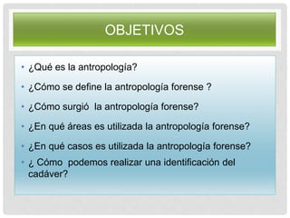 OBJETIVOS
• ¿Qué es la antropología?
• ¿Cómo se define la antropología forense ?
• ¿Cómo surgió la antropología forense?
• ¿En qué áreas es utilizada la antropología forense?
• ¿En qué casos es utilizada la antropología forense?
• ¿ Cómo podemos realizar una identificación del
cadáver?
 
