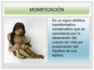 MOMIFICACIÓN
• Es un signo abiótico
transformativo
conservativo que se
caracteriza por la
desecación del
cuerpo sin vida por
evaporación del
líquidos de sus
tejidos.
 