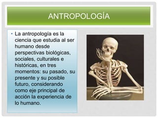 ANTROPOLOGÍA
• La antropología es la
ciencia que estudia al ser
humano desde
perspectivas biológicas,
sociales, culturales e
históricas, en tres
momentos: su pasado, su
presente y su posible
futuro, considerando
como eje principal de
acción la experiencia de
lo humano.
 