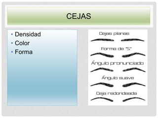 CEJAS
• Densidad
• Color
• Forma
 
