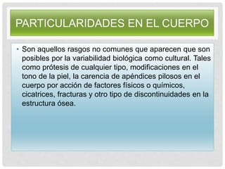PARTICULARIDADES EN EL CUERPO
• Son aquellos rasgos no comunes que aparecen que son
posibles por la variabilidad biológica como cultural. Tales
como prótesis de cualquier tipo, modificaciones en el
tono de la piel, la carencia de apéndices pilosos en el
cuerpo por acción de factores físicos o químicos,
cicatrices, fracturas y otro tipo de discontinuidades en la
estructura ósea.
 