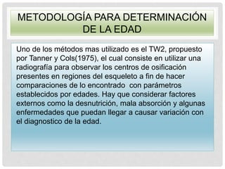 METODOLOGÍA PARA DETERMINACIÓN
DE LA EDAD
Uno de los métodos mas utilizado es el TW2, propuesto
por Tanner y Cols(1975), el cual consiste en utilizar una
radiografía para observar los centros de osificación
presentes en regiones del esqueleto a fin de hacer
comparaciones de lo encontrado con parámetros
establecidos por edades. Hay que considerar factores
externos como la desnutrición, mala absorción y algunas
enfermedades que puedan llegar a causar variación con
el diagnostico de la edad.
 