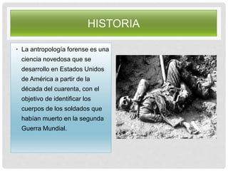HISTORIA
• La antropología forense es una
ciencia novedosa que se
desarrollo en Estados Unidos
de América a partir de la
década del cuarenta, con el
objetivo de identificar los
cuerpos de los soldados que
habían muerto en la segunda
Guerra Mundial.
 