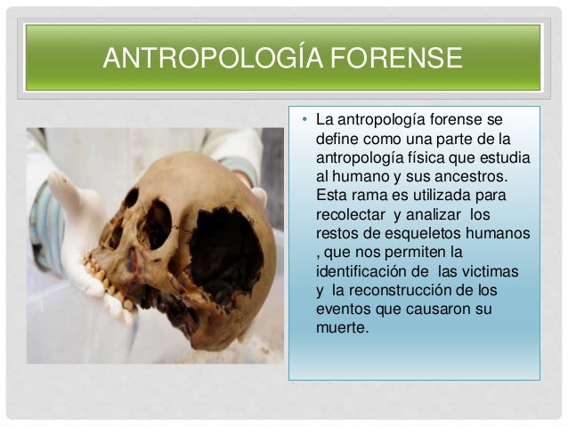 Antropología forense ( identidad e Identificacion)