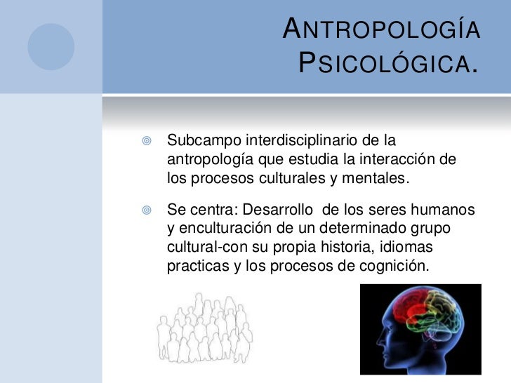 Enfoques Teóricos De La Antropología Psicológica