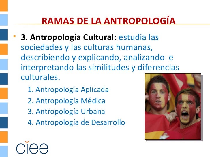 Que Es Y Que Estudia La Antropologia Organizacional Antropologia Images Que Es Y Que Estudia La Antropologia Organizacional Antropologia Images