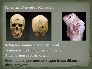 Postmortem Trauma Antropologi-Forensik.ppsx kuliah mengenai antropologi | PPSX