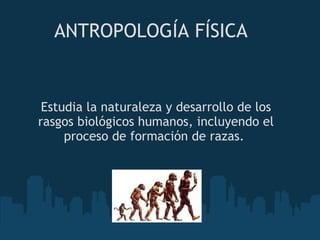 ANTROPOLOGÍA FÍSICA   Estudia la naturaleza y desarrollo de los rasgos biológicos humanos, incluyendo el proceso de formación de razas.  