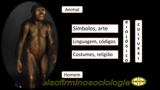 Animal
Homem
Símbolos, arte
Linguagem, códigos
Costumes, religião
B
I
O
L
Ó
G
I
C
O
C
U
L
T
U
R
A
L
 