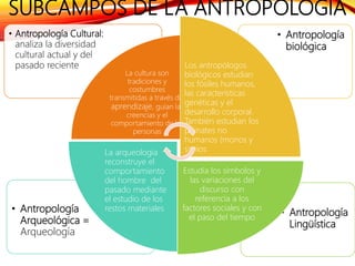 SUBCAMPOS DE LA ANTROPOLOGÍA
• Antropología
Lingüística
• Antropología
Arqueológica =
Arqueología
• Antropología
biológica
• Antropología Cultural:
analiza la diversidad
cultural actual y del
pasado reciente
La cultura son
tradiciones y
costumbres
transmitidas a través del
aprendizaje, guían las
creencias y el
comportamiento de las
personas
Los antropólogos
biológicos estudian
los fósiles humanos,
las características
genéticas y el
desarrollo corporal.
También estudian los
primates no
humanos (monos y
simios
Estudia los símbolos y
las variaciones del
discurso con
referencia a los
factores sociales y con
el paso del tiempo
La arqueología
reconstruye el
comportamiento
del hombre del
pasado mediante
el estudio de los
restos materiales
 