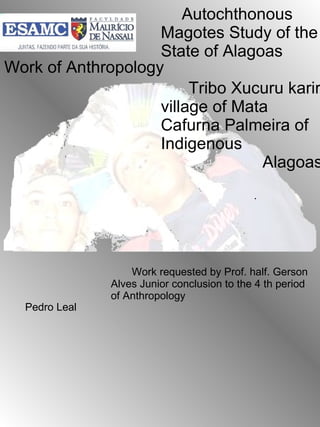 Work of  Anthropology   Work requested by Prof. half. Gerson Alves Junior conclusion to the 4 th period of Anthropology   Pedro Leal Autochthonous Magotes Study of the State of Alagoas                                            Tribo Xucuru kariri  village  of Mata Cafurna Palmeira of Indigenous                        Alagoas . 