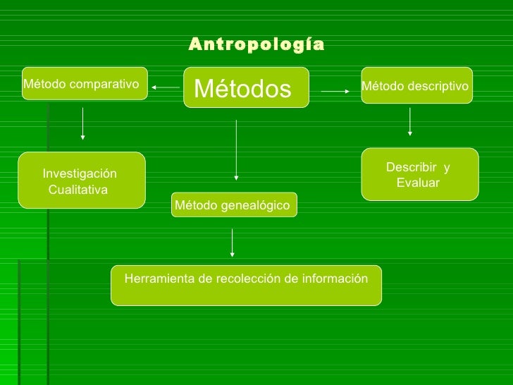 Antropologia