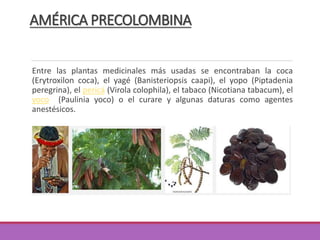 AMÉRICA PRECOLOMBINA
Entre las plantas medicinales más usadas se encontraban la coca
(Erytroxilon coca), el yagé (Banisteriopsis caapi), el yopo (Piptadenia
peregrina), el pericá (Virola colophila), el tabaco (Nicotiana tabacum), el
yoco (Paulinia yoco) o el curare y algunas daturas como agentes
anestésicos.
 
