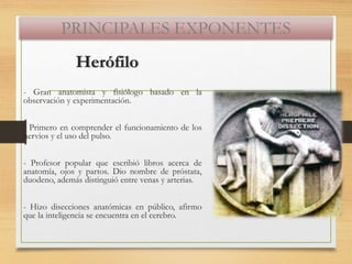 PRINCIPALES EXPONENTES
Herófilo
- Gran anatomista y fisiólogo basado en la
observación y experimentación.
- Primero en comprender el funcionamiento de los
nervios y el uso del pulso.
- Profesor popular que escribió libros acerca de
anatomía, ojos y partos. Dio nombre de próstata,
duodeno, además distinguió entre venas y arterias.
- Hizo disecciones anatómicas en público, afirmo
que la inteligencia se encuentra en el cerebro.
 