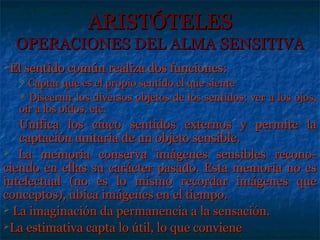 ARISTÓTELES
  OPERACIONES DEL ALMA SENSITIVA
El sentido común realiza dos     funciones:
   Captar que es el propio sentido el que siente
   Discernir los diversos objetos de los sentidos: ver a los ojos,
  oír a los oídos, etc.
   Unifica los cinco sentidos externos y permite la
   captación unitaria de un objeto sensible.
 La memoria conserva imágenes sensibles recono-
ciendo en ellas su carácter pasado. Esta memoria no es
intelectual (no es lo mismo recordar imágenes que
conceptos), ubica imágenes en el tiempo.
 La imaginación da permanencia a la sensación.

La estimativa capta lo útil, lo que conviene
 